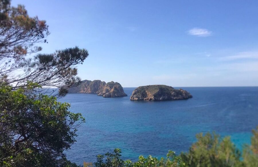 Mallorca: 2-Hour Coastline & Malgrat Islands Catamaran Tour - Is $29 good value?