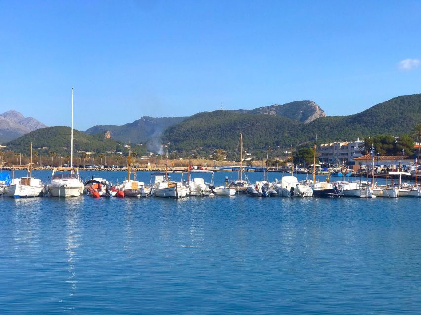 Mallorca: Catamaran Coastal Cruise with Lunch - Cala Egos and the First Swim Stop