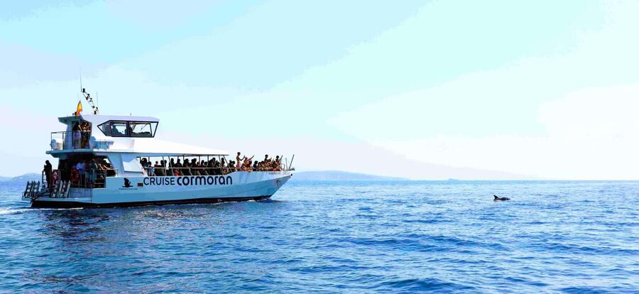 Mallorca: Catamaran Coastal Cruise with Lunch - What the $54 Price Really Covers