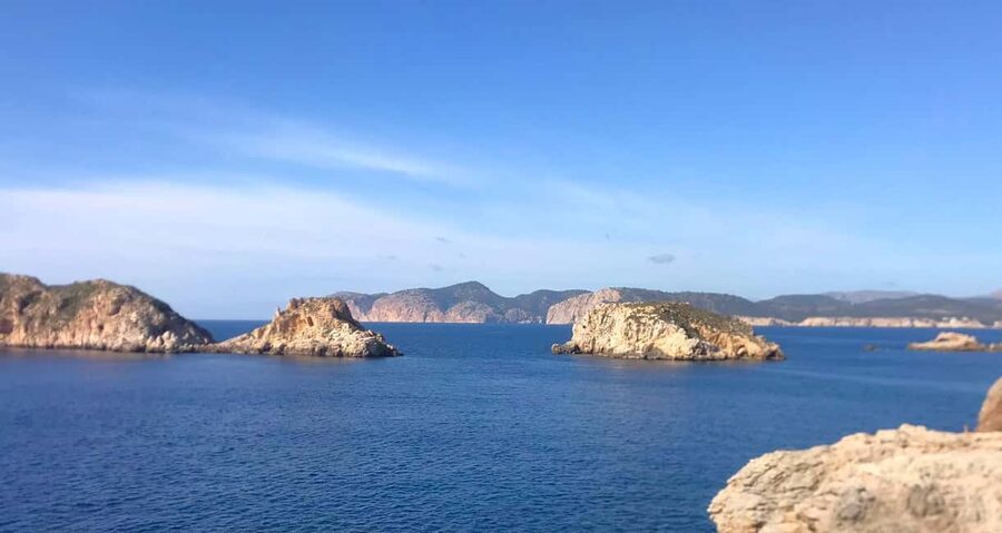 Mallorca: Catamaran Coastal Cruise with Lunch - The Guide, Crew, and Onboard Mood