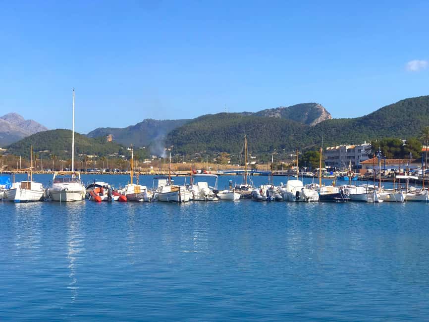 Mallorca: Catamaran Coastal Cruise with Lunch - Should You Book the Mallorca Catamaran Cruise?