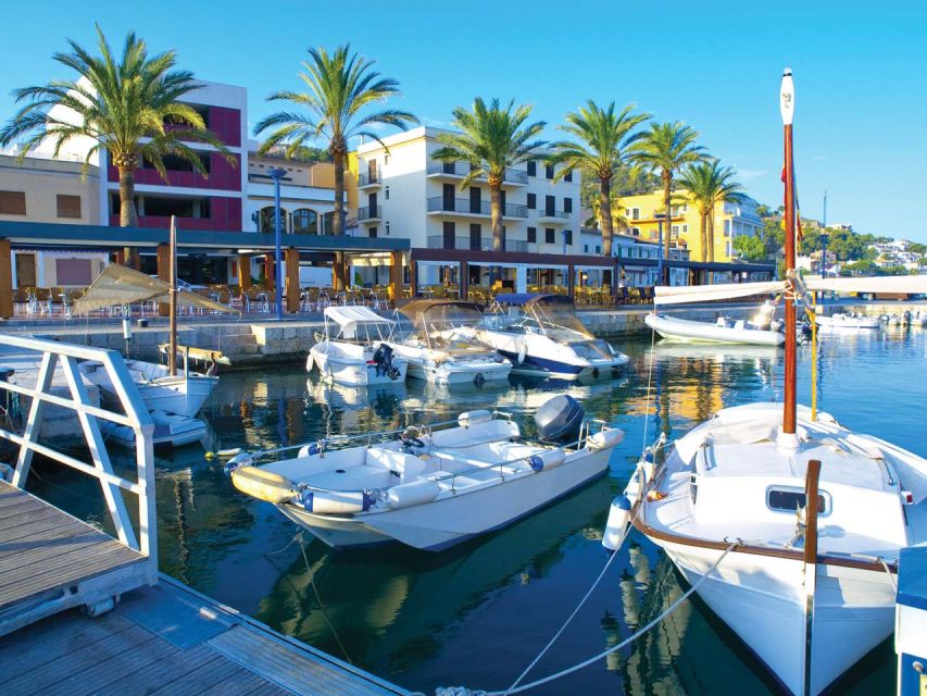 Mallorca: Catamaran Coastal Cruise with Lunch - Forty Minutes in Port Andratx