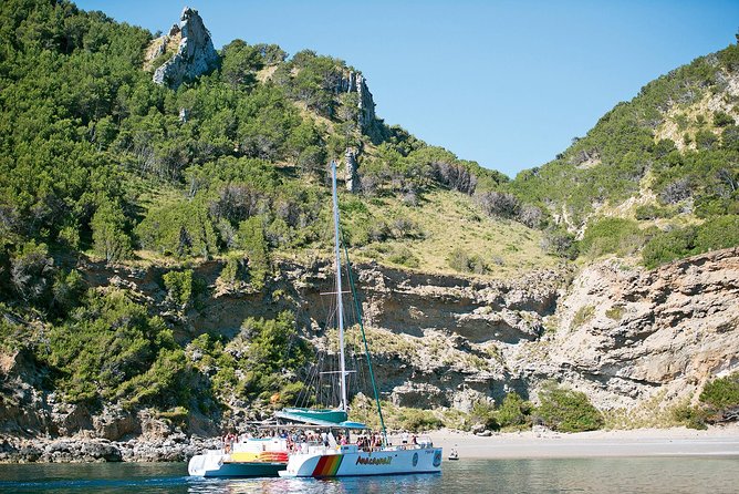 Mallorca Catamaran Cruise with Scenic Views and BBQ Lunch - Boarding at Port d’Alcúdia