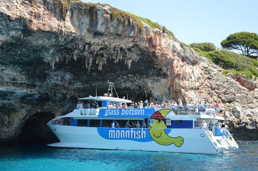 Mallorca: Glass-Bottom Catamaran Along the East Coast - What the glass bottom really adds