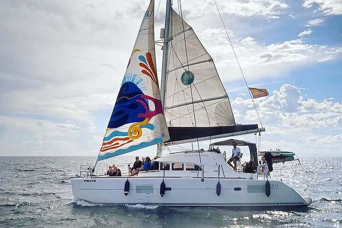 Marbella 2 - hour Catamaran Group Excursion with Dolphin Watching - The dolphin search along Marbella’s coast