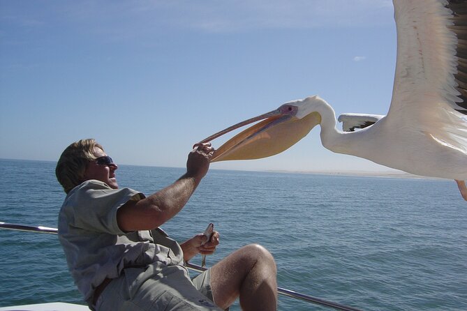 Marine Dune Day: Catamaran Cruise and Sandwich Harbor Dune Drive - Is $222.07 good value?