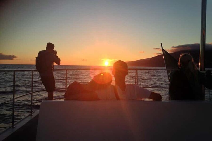 Marseille: Sunset catamaran cruise, buffet & drinks - Who will enjoy Le Feng Shui most?