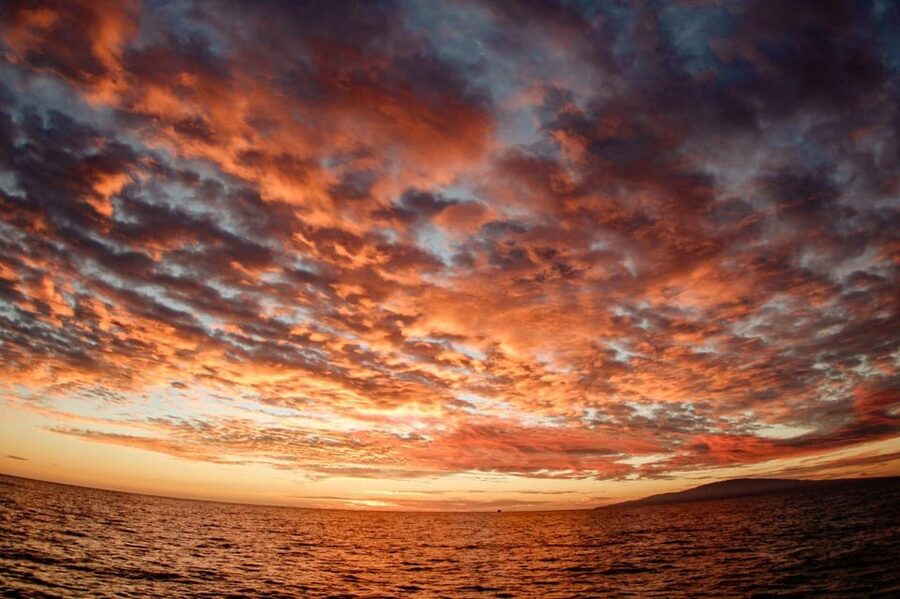 Maui: Luxury Catamaran Royal Sunset 5-Course Dinner Cruise - What the open bar adds to the price