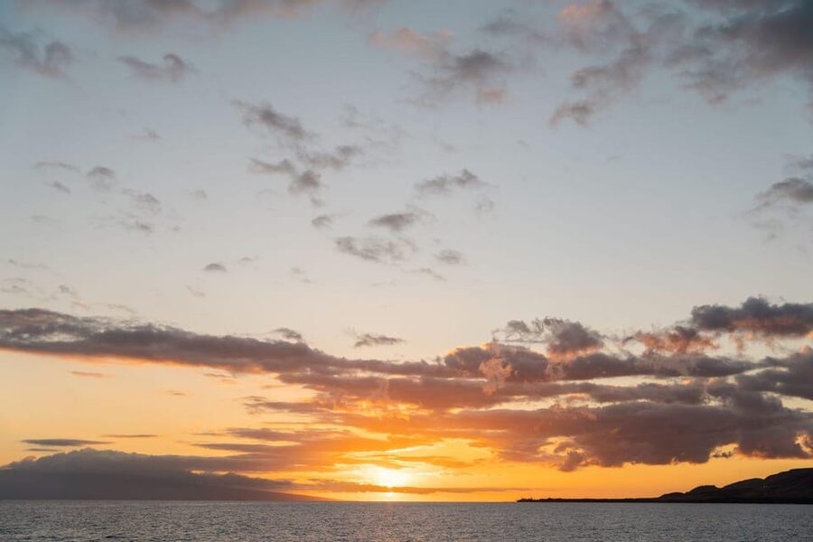 Maui: Luxury Catamaran Royal Sunset 5-Course Dinner Cruise - Is $289 per person fair?