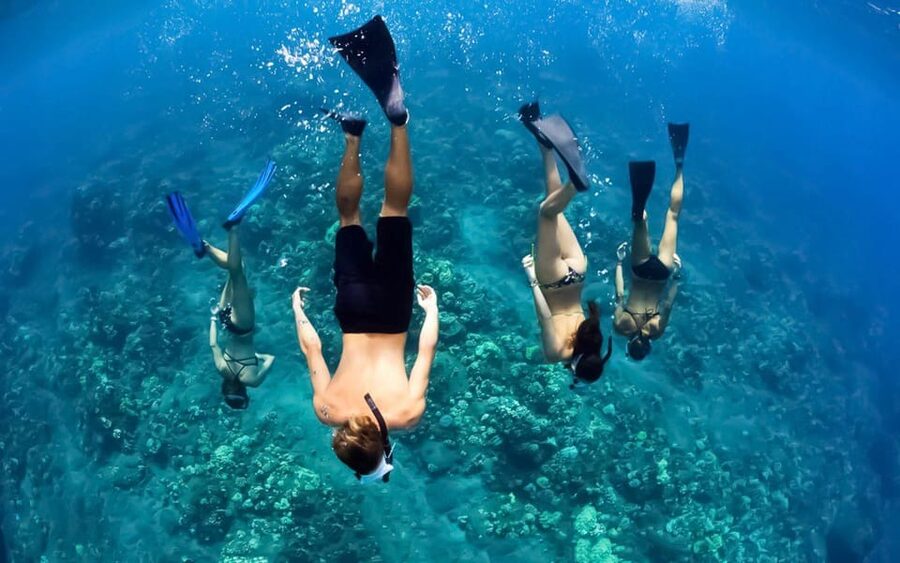 Maui: Luxury Catamaran Turtles & Tacos Snorkel - Maalaea Harbor and the 65-Foot Catamaran