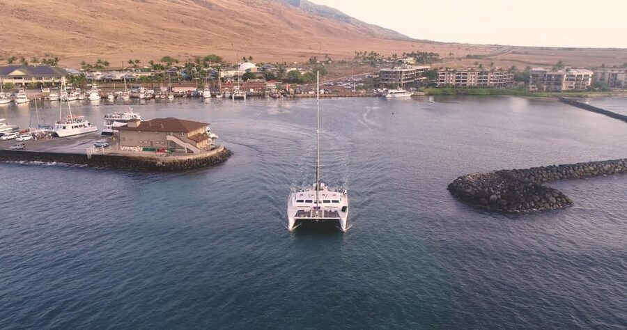 Maui: Luxury Catamaran Turtles & Tacos Snorkel - A Note About the Boat Service and Extra Time