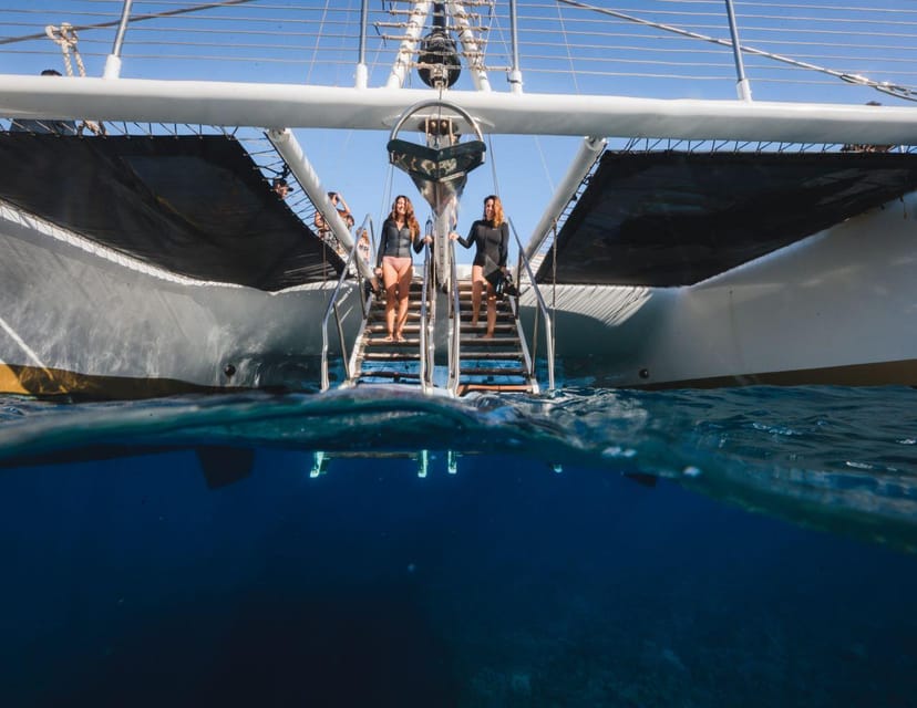 Maui: Luxury Catamaran Turtles & Tacos Snorkel - Should You Book the Turtles and Tacos Snorkel?