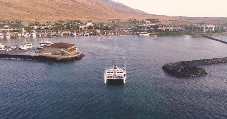 Maui: Luxury Catamaran Whale Watch & Sail - A winter whale show off Ma’alaea Harbor