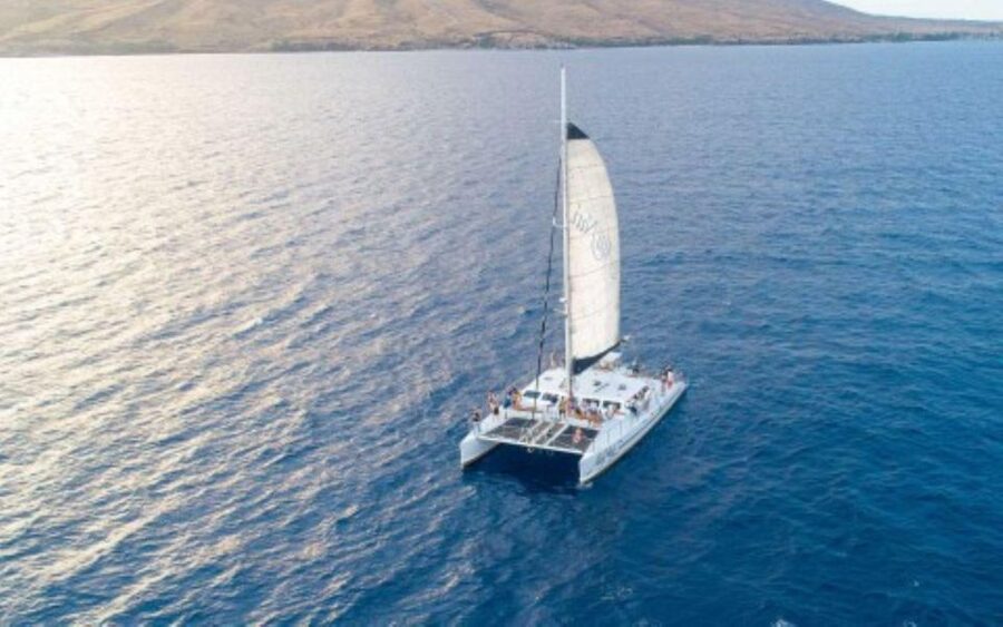 Maui: Luxury Catamaran Whale Watch & Sail - Two hours with the whales, not a packed itinerary