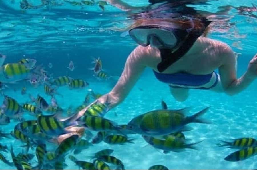 Mauritius: Catamaran cruise to 3 Northern Isles with lunch - Gabriel Island and Flat Island: sand, water, and open space