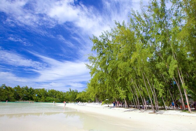 Mauritius: Catamaran Cruise to Ile Aux Cerfs with BBQ Lunch - Snorkeling and swimming in coastal water
