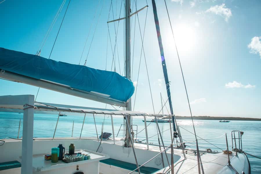Mauritius: Catamaran Cruise to Ile Aux Cerfs with BBQ Lunch - Who should book this catamaran cruise?
