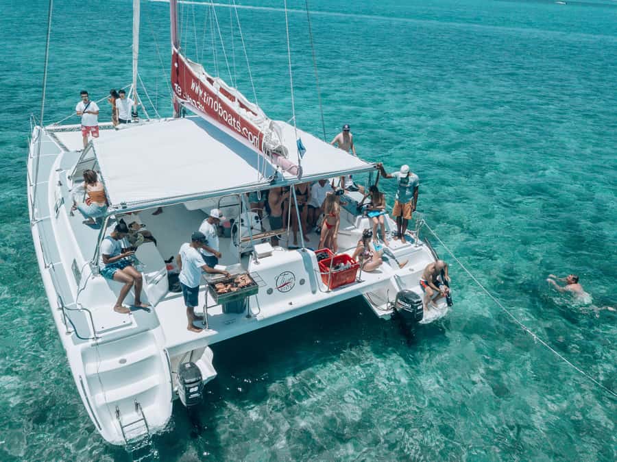 Mauritius: Catamaran Day Cruise to lle aux Cerfs with Lunch - Swimming and snorkeling in the lagoon