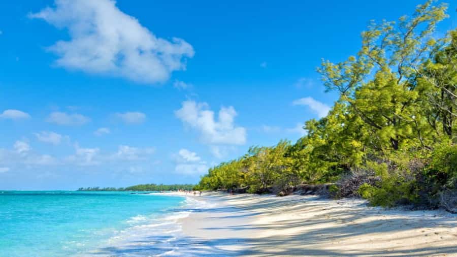 Mauritius: Ile aux Cerf Catamaran w/Waterfall Visit & Lunch - Is $70 good value for a nine-hour day?