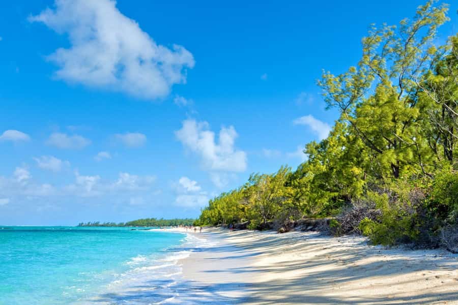Mauritius: Ile Aux Cerfs Catamaran Trip w/ Lunch & Transfer - Key points at a glance