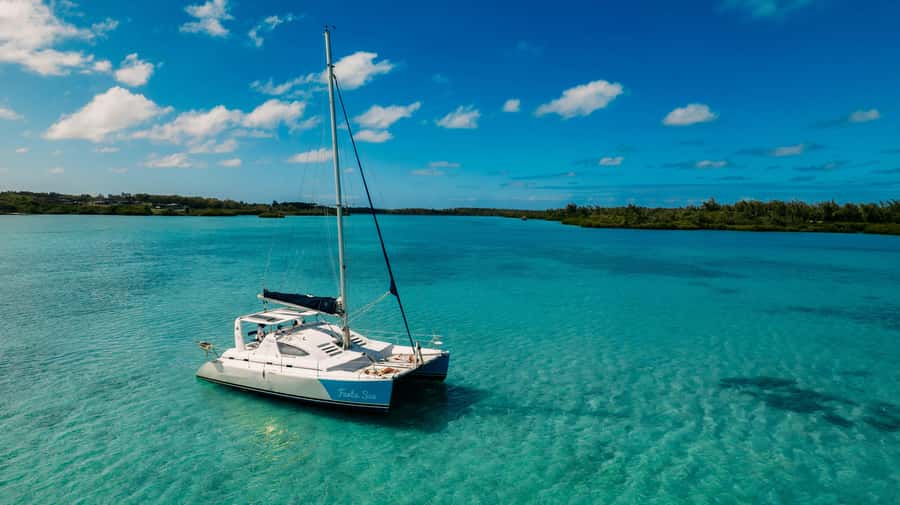 Mauritius: Private Catamaran Tour to île aux Cerfs - Dolphin spotting in open water