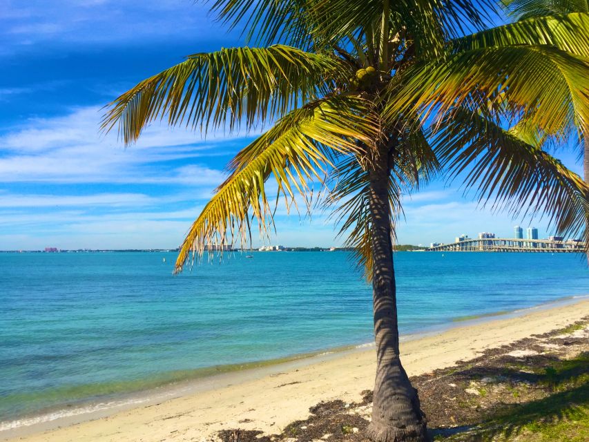 Miami: Hobie Cat Sailing - Key points to know before you sail