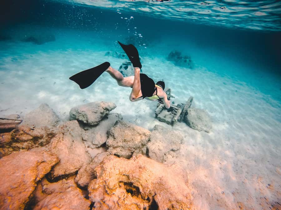 Miami: Key West with Catamaran Tour, Drinks, and Free Time - Key points to know before booking