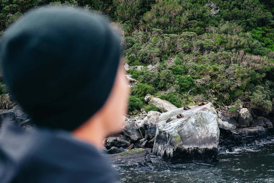 Milford Sound: Nature Cruise on a Modern Catamaran - Following the fiord toward the Tasman Sea