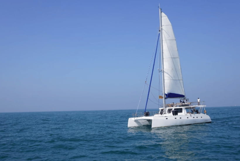 Mirissa: Sunset Catamaran Sailing Boat Tour with Dinner - What the $250 price includes