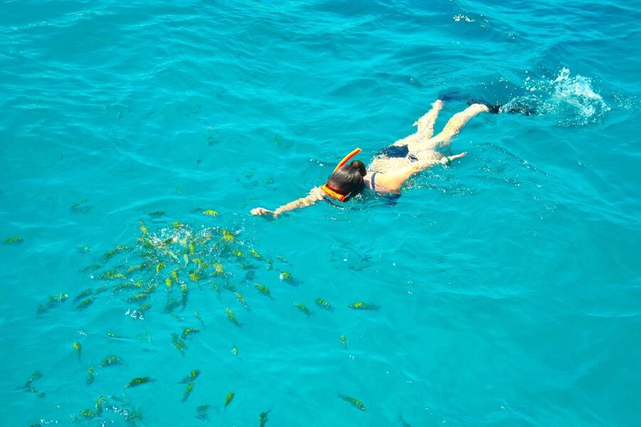 Montego Bay Catamaran Cruise and Snorkeling Tour - The Front Nets Are the Best Place to Unwind
