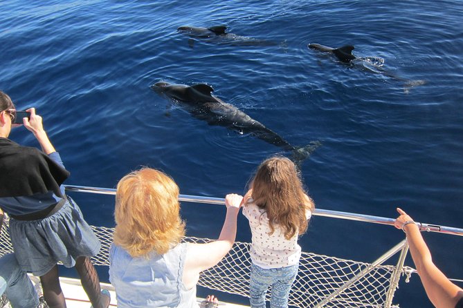 Most Famous Catamaran in Tenerife Island (2 hours and 3 hours tours) - Drinks, sandwiches, and what is really included