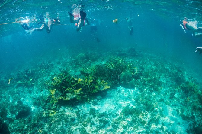 Mujeres Island Tour by Catamaran from Cancun City - Who will enjoy this catamaran day most