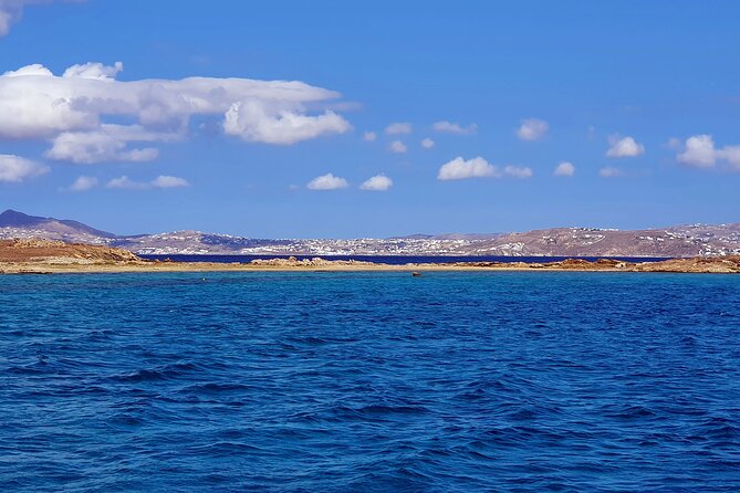 Mykonos Catamaran Delos Rhenia Cruise with Lunch and Transfer - Reaching Delos, Apollo’s Sacred Island