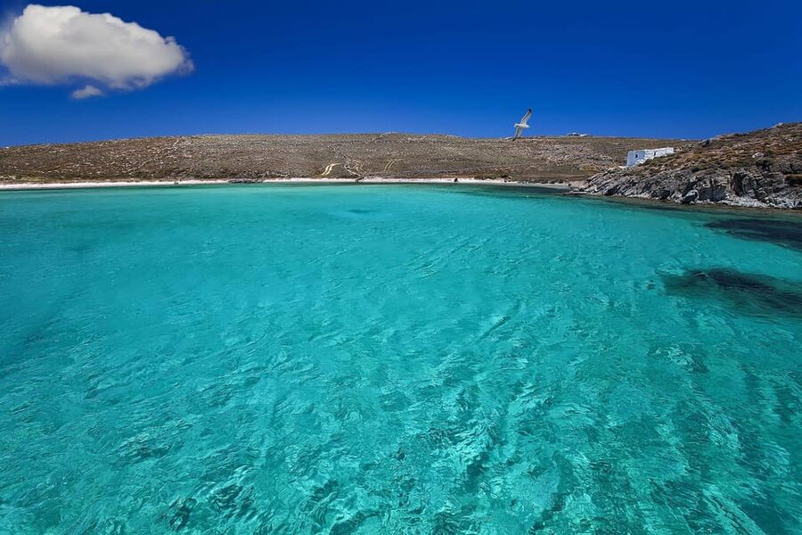 Mykonos Catamaran Delos Rhenia semi private cruise - Timing, pickup, and the end of the day