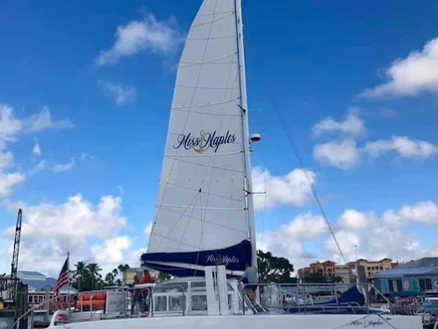 Naples: Catamaran Cruises with Wildlife Views - Quick points to know