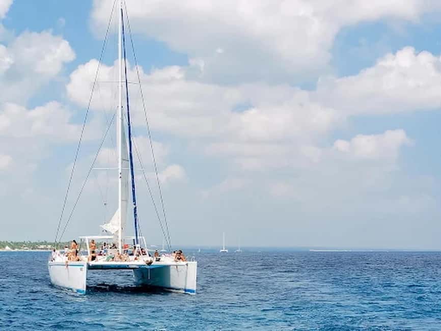 Naples: Catamaran Cruises with Wildlife Views - Beach shelling for an easy family outing