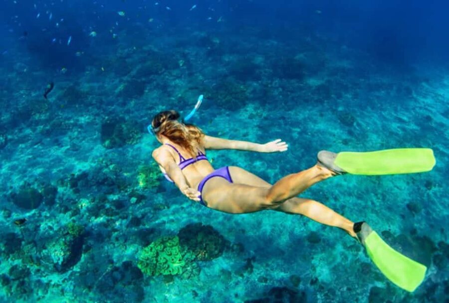 Nassau: Catamaran Sail and Snorkel Tour - Key points to know before you book