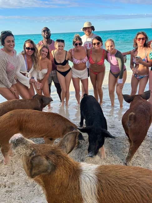 Nassau: Full-Day Party Catamaran with Private Beach & Lunch - Key points to know before you book