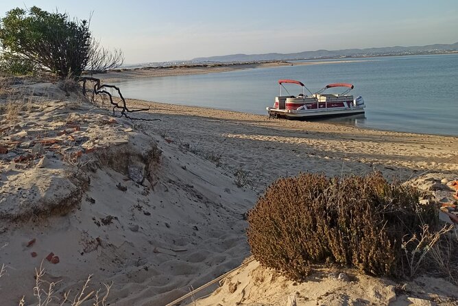 Nature Catamaran Tour from Faro - Seeing Faro from the Ria Formosa
