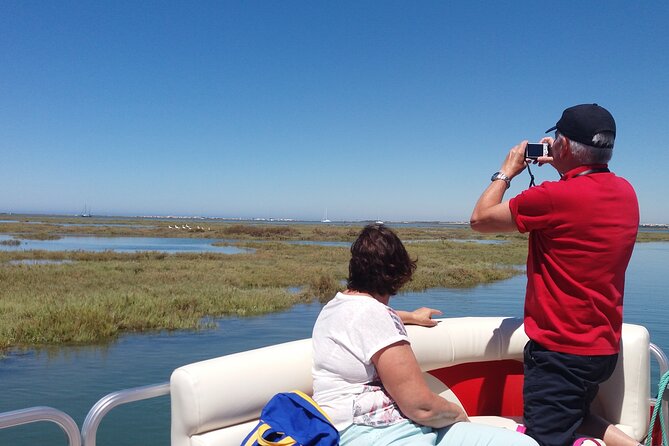 Nature Catamaran Tour from Faro - Birds, tides, and the right expectations