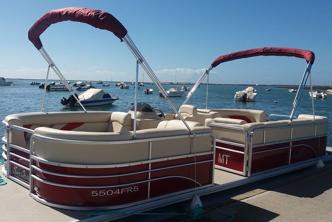 Nature Catamaran Tour from Faro - Is $31.87 a fair price?