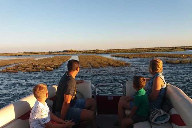 Nature Catamaran Tour from Faro - What happens during the one-hour route