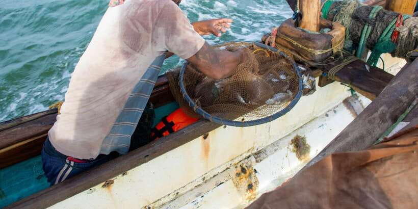 Negombo: Catamaran Sailing with Traditional Fishermen - Who should book this Negombo catamaran trip?