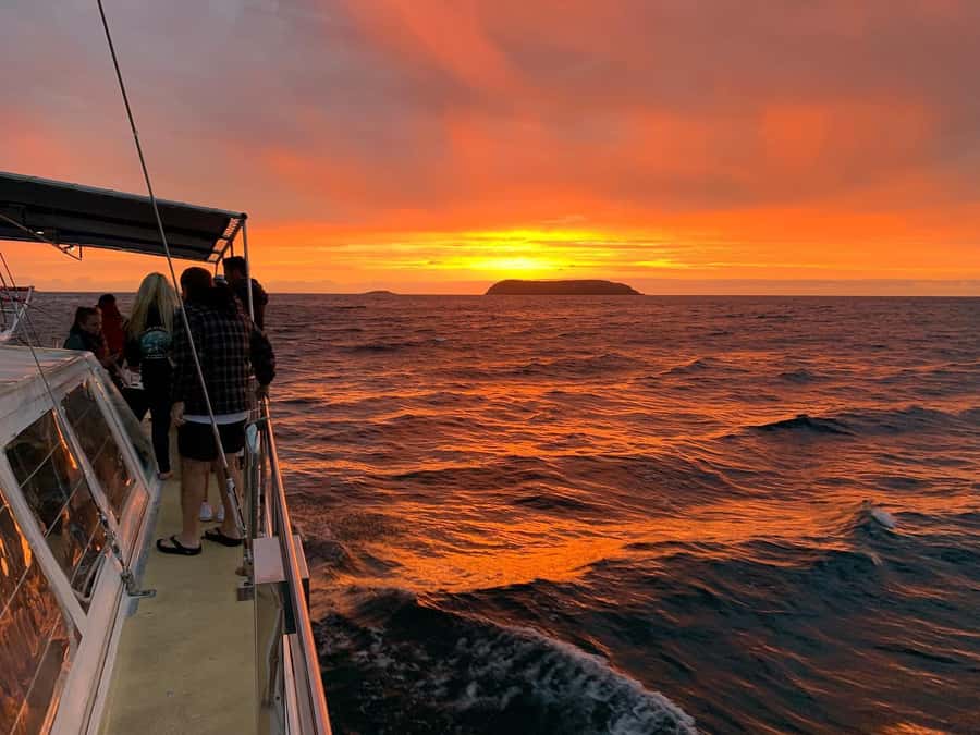 Nelson Bay: Whale and Dolphin Watching Catamaran Cruise - How Comfortable Is the Ride?