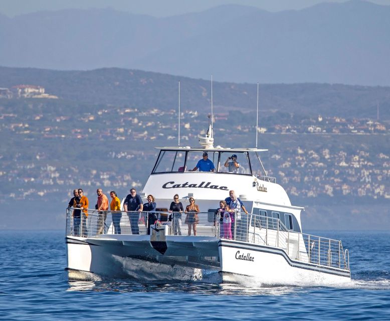 Newport Beach: Luxury Whale Watching Catamaran Cruise - What the catamaran setup means for comfort