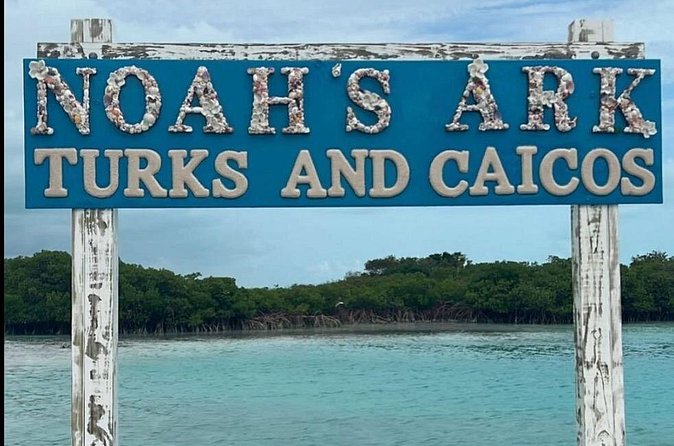 Noahs Ark Catamaran Trip - Three hours at the floating beach club