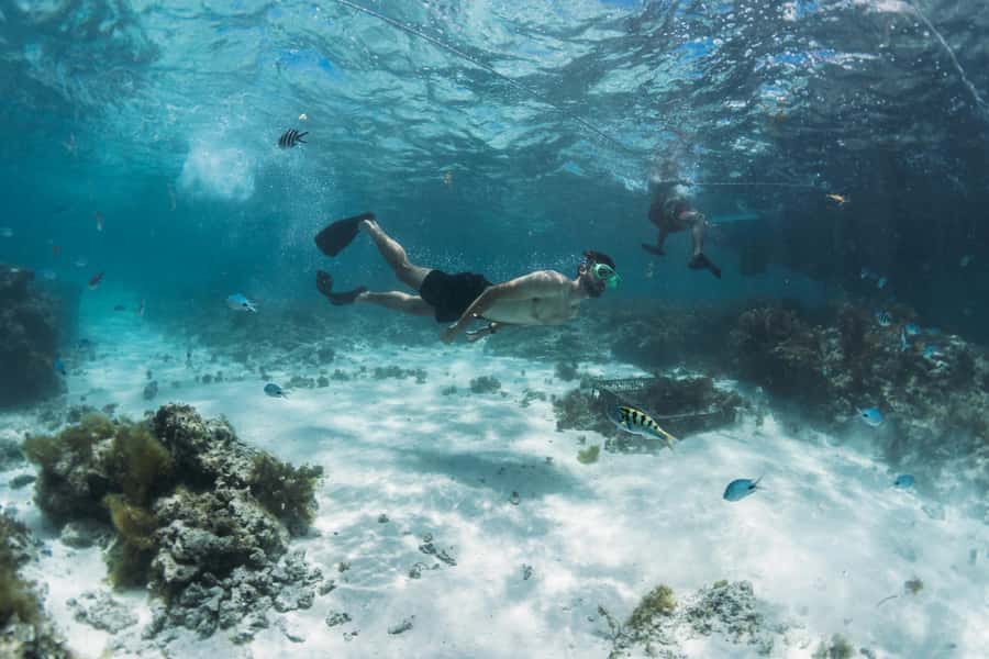 North East of Mauritius: Catamaran Cruise w/ BBQ Lunch - Who will enjoy this cruise most