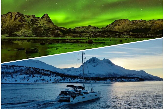 Northern Light Cruise With Luxury Catamaran in Tromso, Norway - Key points at a glance
