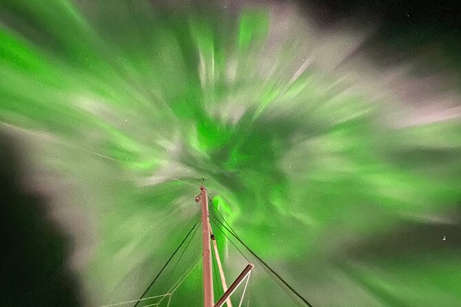 Northern Light Cruise With Luxury Catamaran in Tromso, Norway - Why the catamaran changes the northern lights outing