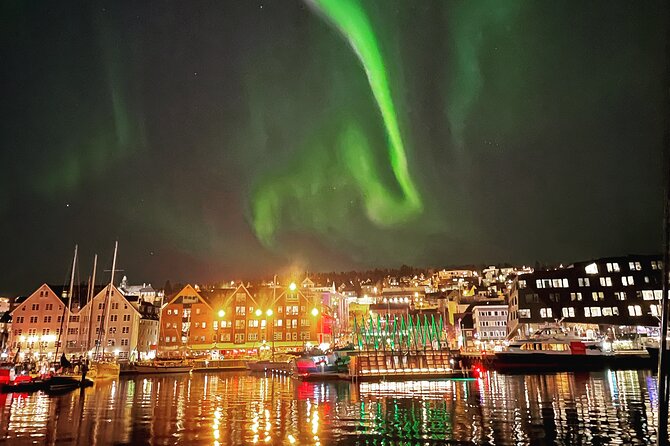 Northern Light Cruise With Luxury Catamaran in Tromso, Norway - Waiting on the net for the Aurora